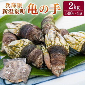 【ふるさと納税】亀の手 500g×4袋 合計2kg カメノテ かめのて ペルセベス 珍味 希少 味噌汁 みそ汁 吸い物 お吸い物 酒蒸し 塩茹で 説明書き付き 海鮮 冷凍 お取り寄せ【配送不可地域：離島】【1089878】【2025年6月中旬発送開始予定】兵庫県 新温泉町 送料無料