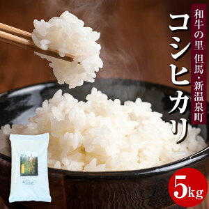 yӂ邳Ɣ[Łza̗-AnEV RVqJ  5kg 1       R Ђ Y 5L Ɍ V  yVX[p[SALE 9J