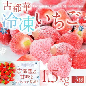 �y�ӂ邳�Ɣ[�Łz �Ós�� �Ⓚ������ 1.5kg (500g×3��) �嗱 ���ʌ��� �u�����h � �t���[�c �ʕ� ���Y �x���[ �Ⓚ �{ �Y�n���� �t���[�c �ʕ� ������ ���Y ���� ���I �V�N �Â� �������� �ޗǎs 