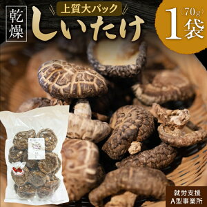 yӂ邳Ɣ[Łzy㎿pbNz70g ő knot ޗǌ ޗǎs J-125