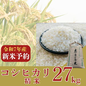 yӂ邳Ɣ[Łz V RVqJ 27kg  2025Nn 9ȍ~ _ƒ   Ђ ͂  ɂ RVqJ ޗ Ȃ ߘa7Nx ޗǎs ޗǌ a  81