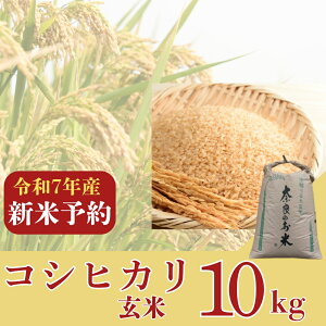 yӂ邳Ɣ[Łz V RVqJ 10kg  2025Nn  _ƒ  Ђ ͂  ɂ   ޗ Ȃ ߘa7Nx ޗǎs ޗǌ a  29-003