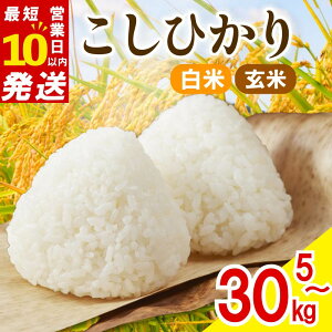 yӂ邳Ɣ[Łz V ߘa7NY   Iׂ 5kg 10kg 20kg 30kg RVqJ ʌ   V   ͂܂ ɂ   ٓ Yn _ƒ 蕨 