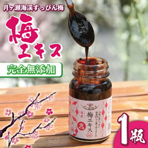 yӂ邳Ɣ[Łz ~GLX ~kY ~ SY OMtgv[gi̕iȂ ޗǌ ޗǎs I-247