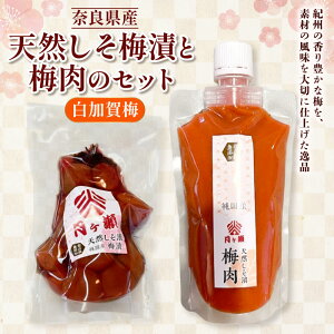 �y�ӂ邳�Ɣ[�Łz �V�R�����~�� 320g×1�� �~�� 200g×1�� �Z�b�g ���h �~���� �~�y�[�X�g ���� ���߂ڂ� �����Ђ� ���т̂��� ���ٓ� ���ɂ��� ���Y �f�� �ۑ��� ���Y�� ������~ ������� ���J