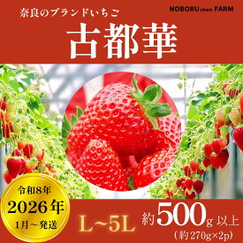 【ふるさと納税】 いちご 270g×2~6パック ことか 希少品種 古都華 2026年1月以降発送 先行予約 イチゴ 苺 最大約1620g 小分け 冷蔵 人気 おすすめ フルーツ 果物 ストロベリー ふるさと納税 ふるさと itigo ギフト 贈答 プレゼント 奈良県 奈良市 なら のぼるちゃんファーム