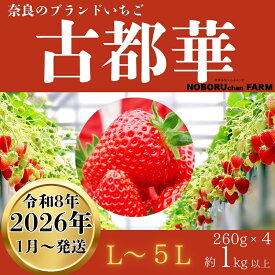 【ふるさと納税】★★2026年予約販売開始★★【2026年（令和8年）1月?発送】のぼるちゃんファーム の 古都華いちご 限定出荷 奈良ブランド苺 260g 合計4パック いちご 苺 イチゴ 古都華 大粒 産地 直送 フルーツ 果物 贈答用 プレゼント ギフト奈良県 奈良市 なら 12-097
