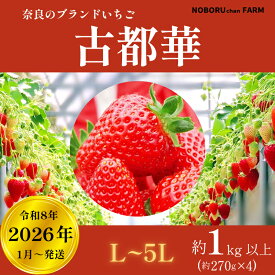 【ふるさと納税】 【 先行予約 / 数量限定 】 いちご 1kg 以上 ( 270g × 4P ) 新鮮 産地 直送 厳選 【2026年1月以降発送】 旬 ブランド イチゴ 苺 古都華 フルーツ 果物 くだもの 国産 限定 大粒 ベリー 贈答用 人気 おすすめ デザート スイーツ 奈良県 奈良市 なら 11-108