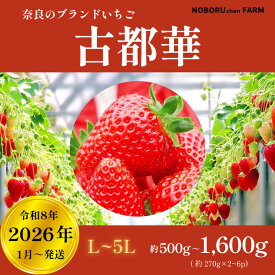 【ふるさと納税】 いちご 古都華 選べる容量 500～1600g以上 1パック270g 先行予約 数量限定 新鮮 産地直送 厳選 2026年1月以降発送 大粒 冷蔵 小分け 旬 イチゴ 苺 フルーツ 果物 くだもの 国産 ストロベリー 贈答用 ギフト プレゼント 奈良県 奈良市 のぼるちゃんファーム