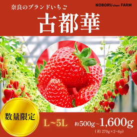 【ふるさと納税】 いちご 270g×2~6パック ことか 希少品種 古都華 2027年発送 先行予約 イチゴ 苺 最大約1620g 小分け 冷蔵 人気 おすすめ フルーツ 果物 ストロベリー ふるさと納税 ふるさと itigo ギフト 贈答 プレゼント 奈良県 奈良市 なら NOBORUchan FARM