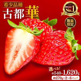 【ふるさと納税】 いちご ことか 約540~1620g 1パック約270g 希少品種 古都華 2027年発送 先行予約 イチゴ 苺 産地直送 小分け 冷蔵 人気 おすすめ フルーツ 果物 ストロベリー ふるさと納税 ふるさと itigo ギフト 贈答 プレゼント 奈良県 奈良市 なら のぼるちゃんファーム