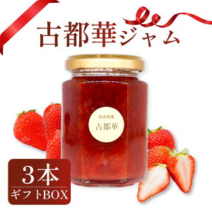 【ふるさと納税】 いちごジャム 古都華 3本セット ギフトボックス入り 2026年1月発送 小分け 苺ジャム 果物 スイーツ デザート フルーツ ベリー ふるさと納税いちご 完熟 おやつ ブランド 苺