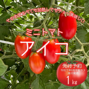 yӂ邳Ɣ[Łzys\zߘa7N8{珇 ~jg}g ACR1L _ ݂݂ Ƃ܂ g}g ďH ҂̎Rt@[ ޗǌ ޗǎs Ȃ 9-100