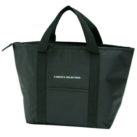 【ふるさと納税】洗える保冷ランチバッグ 2重タイプ L ケアフルセレクション スケーター skater 奈良県 奈良市 なら 4-160