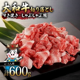 【ふるさと納税】 牛肉 大和牛 切り落とし 600g すき焼き しゃぶしゃぶ 和牛 特上 高級 赤身 料理 黒毛和牛 特選 こま切れ 細切れ すきやき しゃぶ 霜降り 希少 ブランド ギフト 贈答 冷凍 肉の河内屋 10000円 なら I-276 国産牛 ステーキ 焼肉 うし 奈良市 奈良県