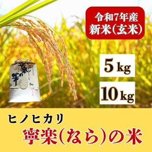 yӂ邳Ɣ[Łz yVāzߘa7NY qmqJ wJy(Ȃ)̕āx 5Kg 10kg  2025Nn  _ƒ   Ђ̂Ђ ͂  ɂ   Ƃ_ ޗ 