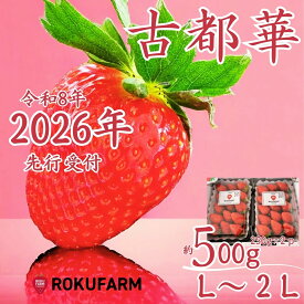 【ふるさと納税】★★2026年予約販売開始★★【2026年（令和8年）1月?発送】愛情たっぷり古都華（250g入×2パック）限定出荷 いちご 苺 イチゴ ブランド 古都華 大粒 旬 産地 直送 おすすめ 奈良県 奈良市 なら 10-205