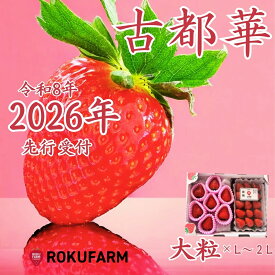 【ふるさと納税】★★2026年予約販売開始★★【2026年（令和8年）1月?発送】愛情たっぷり古都華（大粒とL?2Lセット）限定出荷 いちご 苺 イチゴ ブランド 古都華 大粒 旬 産地 直送 おすすめ 奈良県 奈良市 なら 15-068