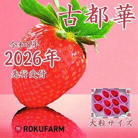 【ふるさと納税】★★2026年予約販売開始★★【2026年（令和8年）1月?発送】愛情たっぷり古都華（大粒サイズ）限定出荷 いちご 苺 イチゴ ブランド 古都華 大粒 旬 産地 直送 おすすめ 奈良県 奈良市 なら 20-050