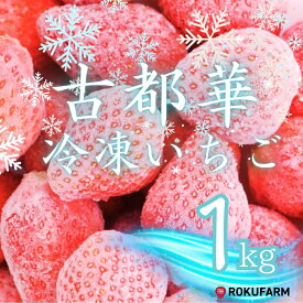 【ふるさと納税】 【数量限定】完熟古都華 の 冷凍いちご（古都華） 奈良ブランド苺 イチゴ フルーツ 果物 国産 冷凍 人気 かき氷 フローズン スムージー ジャム アレンジ スイーツ 『6FARM』 奈良県 奈良市 10-212