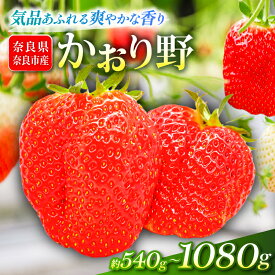 【ふるさと納税】 いちご かおり野 約540~1080g 1パック約270g 2~4パック 2027年発送 選べる容量 鶏冠果 サイズ混合 不揃い 数量限定 冷蔵 イチゴ 苺 フルーツ 果物 旬 産地直送 小分け 甘い おすすめ おいしい 贈答 プレゼント ギフト 奈良県 奈良市 いちご農家だるま