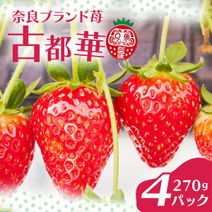 yӂ邳Ɣ[Łz  Ós 270g×4pbN ʌ  C`S uh 嗱 { Yn t[c ʕ ①  Y p v[g Mtg ޗǎY  I VN Â 