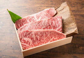 【ふるさと納税】大和牛サーロインステーキ肉 牛肉 特選和牛 特上牛肉 肉 ステーキ 肉料理 美味しいお肉 黒毛和牛 特選和牛 サーロイン 美味しい肉 国産牛肉なら 170g×3枚 510g　 F-56
