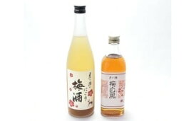 【ふるさと納税】 梅酒 梅シロップ セット 月ヶ瀬にごり梅酒 月ヶ瀬手作り梅シロップ 奈良春日山酒造 月ヶ瀬商工会 濃厚 梅 濃縮タイプ シロップ 詰め合わせ お酒 美味しい 酒 飲みやすい 楽天 ギフト お礼の品 贈答品 プレゼント 故郷納税 奈良 なら 奈良県 奈良市 I-61