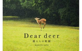 【ふるさと納税】J-63 奈良の鹿 写真集「Dear deer 鹿たちの楽園」