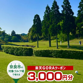 【ふるさと納税】 奈良県奈良市の対象ゴルフ場で使える楽天GORAクーポン 寄付額10,000円 3,000円分 ゴルフ ゴルフ場 利用券 チケット プレー券 スポーツ 運動 奈良県 奈良市 なら gora01