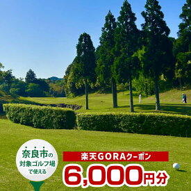 【ふるさと納税】 奈良県奈良市の対象ゴルフ場で使える楽天GORAクーポン 寄付額20,000円 クーポン金額 6,000円分 ゴルフ ゴルフ場 利用券 チケット プレー券 スポーツ 運動 奈良県 奈良市 なら gora02