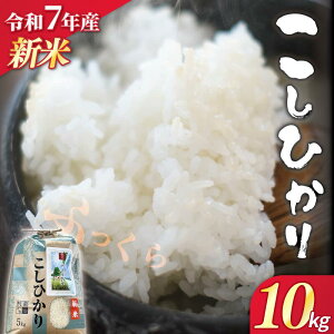 yӂ邳Ɣ[Łz y V Iׂe 2025N11ȍ~ z ߘa7NY   5kg ~ 10kg RVqJ 䂽 Ђ  ӂ  Yn _ƒ   u