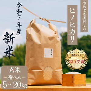 yӂ邳Ɣ[Łz V qmqJ  5`20kg ߘa7NY ߂Ă   ͂   N uh Ђ̂Ђ 5kg 10kg 20kg 2025NxY ޗǌ ޗǎs