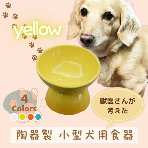 yӂ邳Ɣ[Łz t[h{E ybgpH w ^pH CG[ x(XP[^[) pH ybgp  H a a  ybgt[h ^  }bgt 536298 