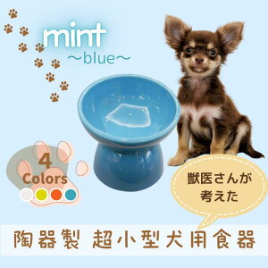 【ふるさと納税】 ペット用食器 『 超小型犬用食器 ミント ブルー 』 (スケーター株式会社) フードボウル 犬用食器 ペット用 犬 食器 餌 餌入れ えさ入れ ペットフード入れ 小型犬 マット付 5