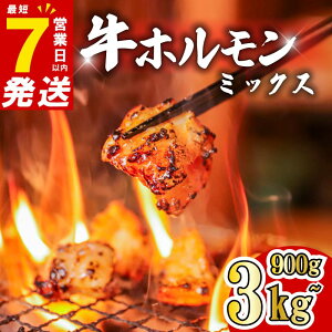 yӂ邳Ɣ[Łz z  ~bNX 900g~3kg  ŒZ7cƓȓ t  ^Ђ z Ⓚ  t ~bNXz ē Ă o[xL[ BBQ Lv t