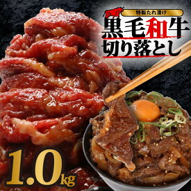 【ふるさと納税】 黒毛和牛 切り落とし 400g~4.8kg 小分け 国産 牛肉 牛 肉 和牛 定期便 大和牛 ブランド牛 冷凍 スライス タレ 特製タレ 漬け 秘伝 たれ 焼き肉 焼肉 牛丼 丼 大容量 BBQ バーベキュー 味付き おすすめ 人気 贈答 ギフト 奈良県 奈良市 近藤精肉店
