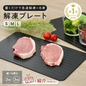 【ふるさと納税】解凍プレート 〈アットライズ〉