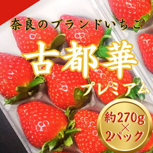 yӂ邳Ɣ[Łzyʌz ޗǃuh䕁@Ós؂  C`S  Ós { Yn  t[c ʕ Â @250g(15~20)×2pbN@t@[a@fwd001