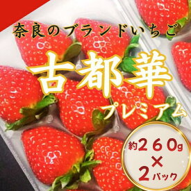 【ふるさと納税】 数量限定 奈良のブランドいちご 古都華 約520g~1000g イチゴ 月 旬 産地 農場 直送 フレッシュ スイーツ スムージー ケーキ フルーツ 果物 国産 ベリー 贈答用 プレゼント 人気 ふるさと納税 ふるさと おすすめ 限定 奈良県 奈良市 なら ファーム和だや