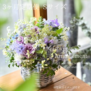 yӂ邳Ɣ[Łzt[AWg STCYy3ցz  ԑ u[P AW v[g 蕨 Ԃ̂鐶hCt[  j LO KACHA ޗǌ ޗǎs 