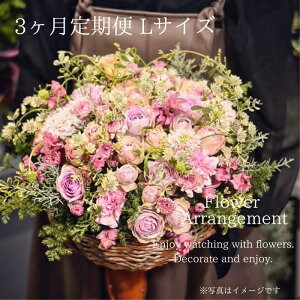 yӂ邳Ɣ[Łzt[AWgLTCYy3ցz  ԑ u[P AW v[g 蕨 Ԃ̂鐶hCt[  j LO@KACHA ޗǌ ޗǎs