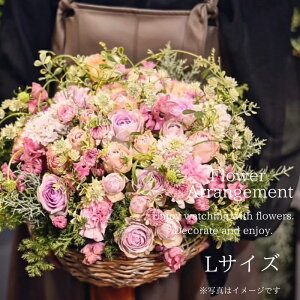 yӂ邳Ɣ[Łzt[AWg LTCY  ԑ u[P AW v[g 蕨 Ԃ̂鐶hCt[  j LO@KACHA ޗǌ ޗǎs Ȃ@45-010