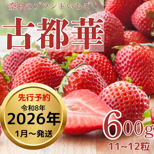 yӂ邳Ɣ[Łzy2026N1ȍ~ziÓs؁j_I嗱Ós600g×1P[Xiʌ \̔jޗǌ ޗǎs Ȃ 67-004
