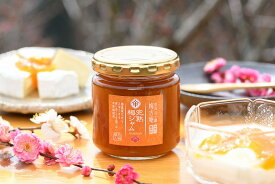 【ふるさと納税】 完熟梅ジャム 大 無添加 お徳用 梅古庵 ジャム 果実 スプレッド 朝食 パン トースト おやつ プレゼント ギフト 梅 うめ ウメ 梅干し 奈良市 奈良県 5-017