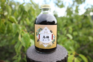 yӂ邳Ɣ[Łz ~R[Vbv ~Vbv R[  hN ߃^Cv NtgR[ \[_ JNe ʏ` W[X Mtg v[g 蕨  ޗǎs ޗ