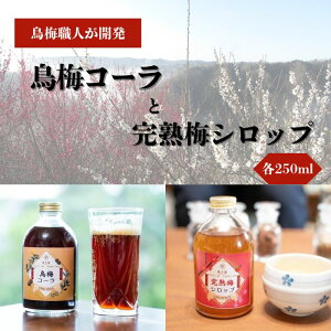 【ふるさと納税】 烏梅コーラ 完熟梅シロップ セット 梅ドリンク 梅シロップ 梅ジュース うめジュース 飲料 飲み物 スイーツコーラ シロップ 贈り物 ギフト 特産品 地域特産 梅加工品 果実