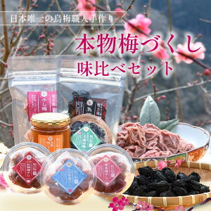 【ふるさと納税】 梅干し 無添加 梅づくし 2〜8点セット 食べ比べ 梅 干し梅 干梅 梅ジャム ジャム 南高梅 うめ 梅干 漬物 漬け物 ご飯 白米 白飯 お弁当 おかず ご飯のお供 ごはんのお供 パン