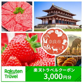 【ふるさと納税】 奈良県奈良市 対象施設で使える 楽天トラベルクーポン 寄付額 10,000円 ふるさと納税 旅行券 宿泊券 宿泊補助券 トラベル クーポン チケット 金券 ホテル 旅館 リゾート 国内旅行 観光 温泉 返礼品 旅行特典 宿泊割引 宿泊 地域振興 ギフト 奈良市 奈良県