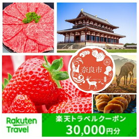 【ふるさと納税】奈良県奈良市の対象施設で使える楽天トラベルクーポン 寄付額100,000円 楽天ふるさと 納税 トラベルクーポン 旅行券 クーポン チケット 金券 ホテル 旅館 リゾート 国内旅行 宿泊 観光 応援 温泉 旅館 支援 返礼品 ギフト 宿泊券 宿泊補助券 旅行 トラベル